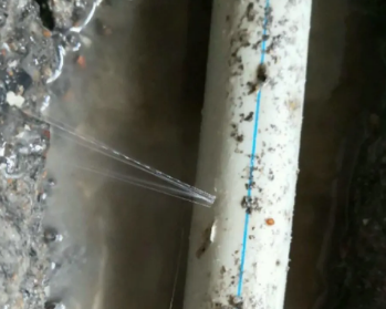 海丰卫生间测漏水多少钱